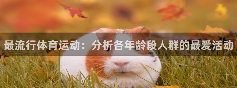 oety欧亿：最流行体育运动：分析各年龄段人群的最爱活动