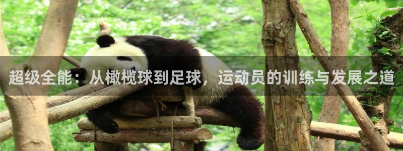 oety欧亿：超级全能：从橄榄球到足球，运动员的训练与发展之道
