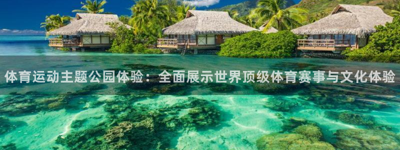 oety欧亿：体育运动主题公园体验：全面展示世界顶级体育赛事与文化体验